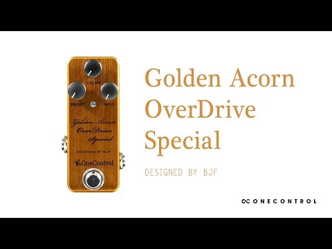 One Control | Golden Acorn OverDrive Special [Designed by BJF] demo by Jake Cloudchair