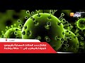 ارتفاع عدد الحالات المصابة بفيروس كورونا بالمغرب إلى 17 حالة مؤكدة