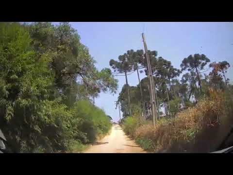 MODA RAIZ NO MUNDO CAIPIRA | O SOM DO HOMEM DO CAMPO PARA VIAJAR PRA ROÇA