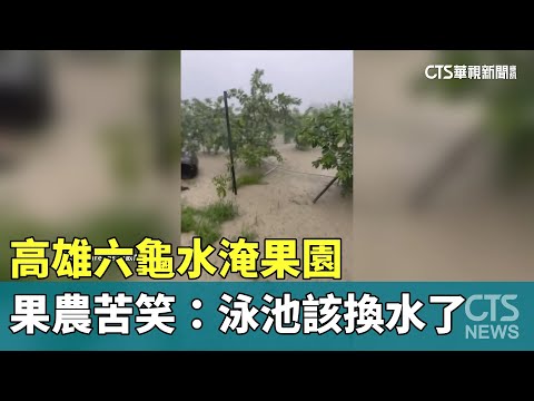 高雄六龜水淹果園　果農苦笑：泳池該換水了