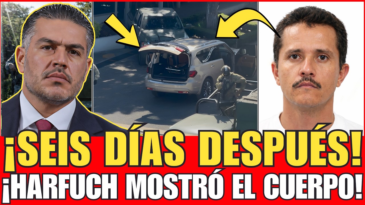 ¡HARFUCH LO REVELA TODO! | EL CAPO MÁS BUSCADO DEL MUNDO YA FUE ...