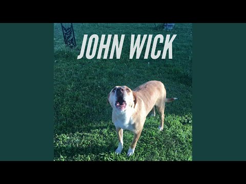 John Wick