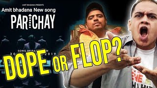 PARICHAY  - AMIT BHADANA AND IKKA MUSIC VIDEO REVIEW