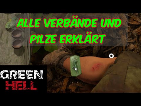 Green Hell Gameplay Deutsch 10Tipps| Anfänger Guide~Grundlagen erlernen Verbände Tutorial #011