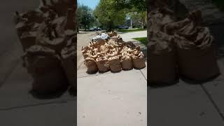 Rycuras dad at work Yardwaste/Trash