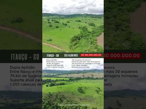 Fazenda em Itauçu Goiás / whatsapp 62 99373-6407