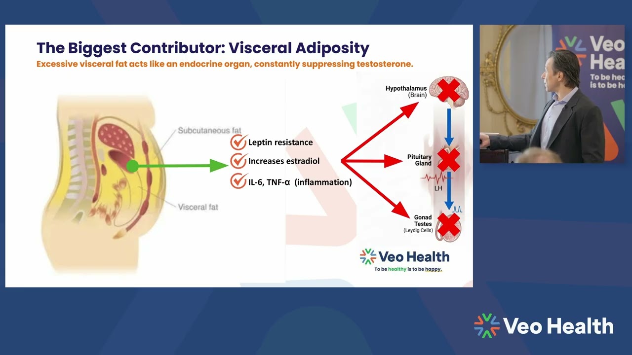 Testosterone and Men's Health: Dispelling the Myths