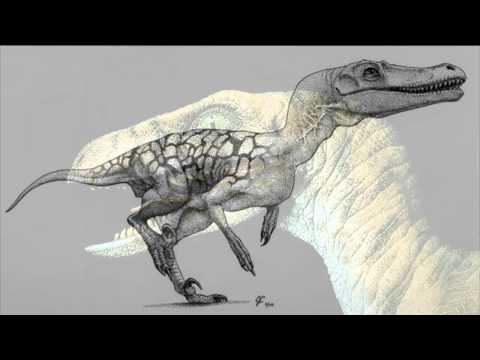 Tribute Three | Velociraptor Tribute.