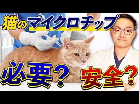 プリオネイルルス・プラニセップス