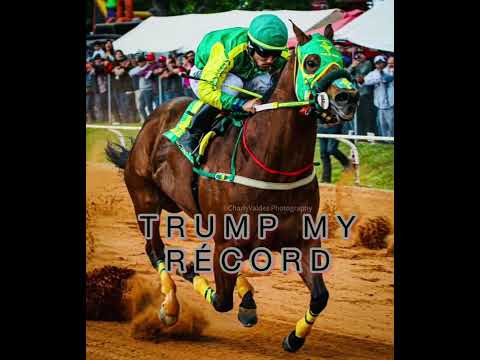 Trump my récord