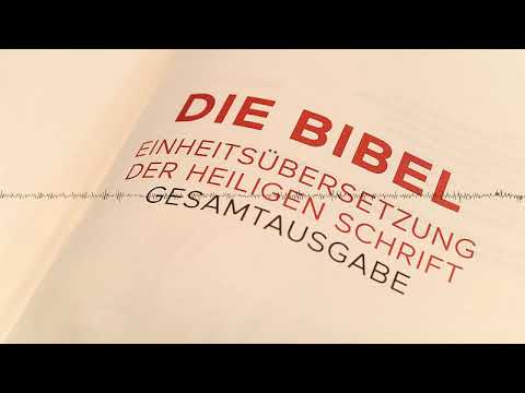 Lk 10,38-42 - Gespräch zum Evangelium