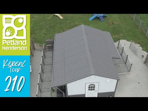 Petland Henderson Kennel Tour 210