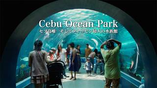 フィリピン最大級の水族館:セブ オーシャン パーク