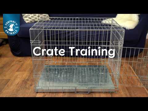 Crate or play pen training