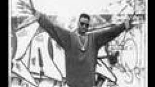 Schooly D - Signifying Rapper