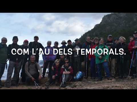 El pi de Fomentor (amb lletra). Imatges dels Carandines, àudio Maria del Mar Bonet i Coral UIB