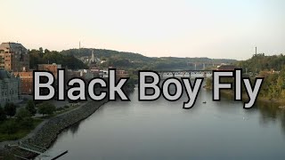 Kendrick Lamar - Black Boy Fly (Lyrics)