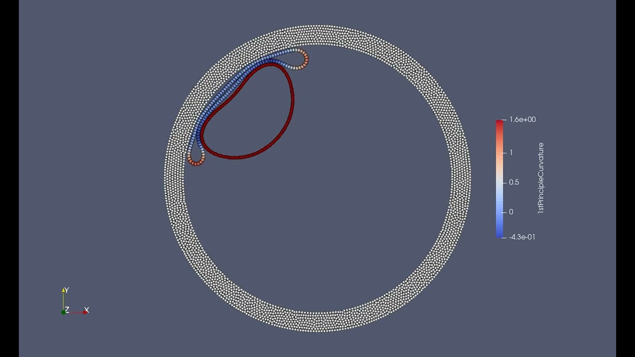 Three ring interaction: a test in SPHinXsys library