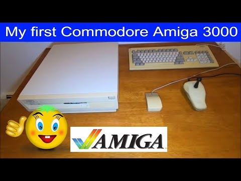 My first Commodore Amiga 3000 (A3000) System