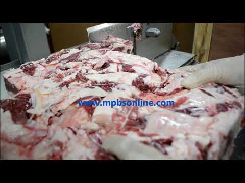 Pro Saw SS20 Meat Bandsaw   Frozen Block Beef Trimmings Demo 323 268 8514