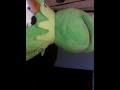 Kermit And Max Watches The THX Logo