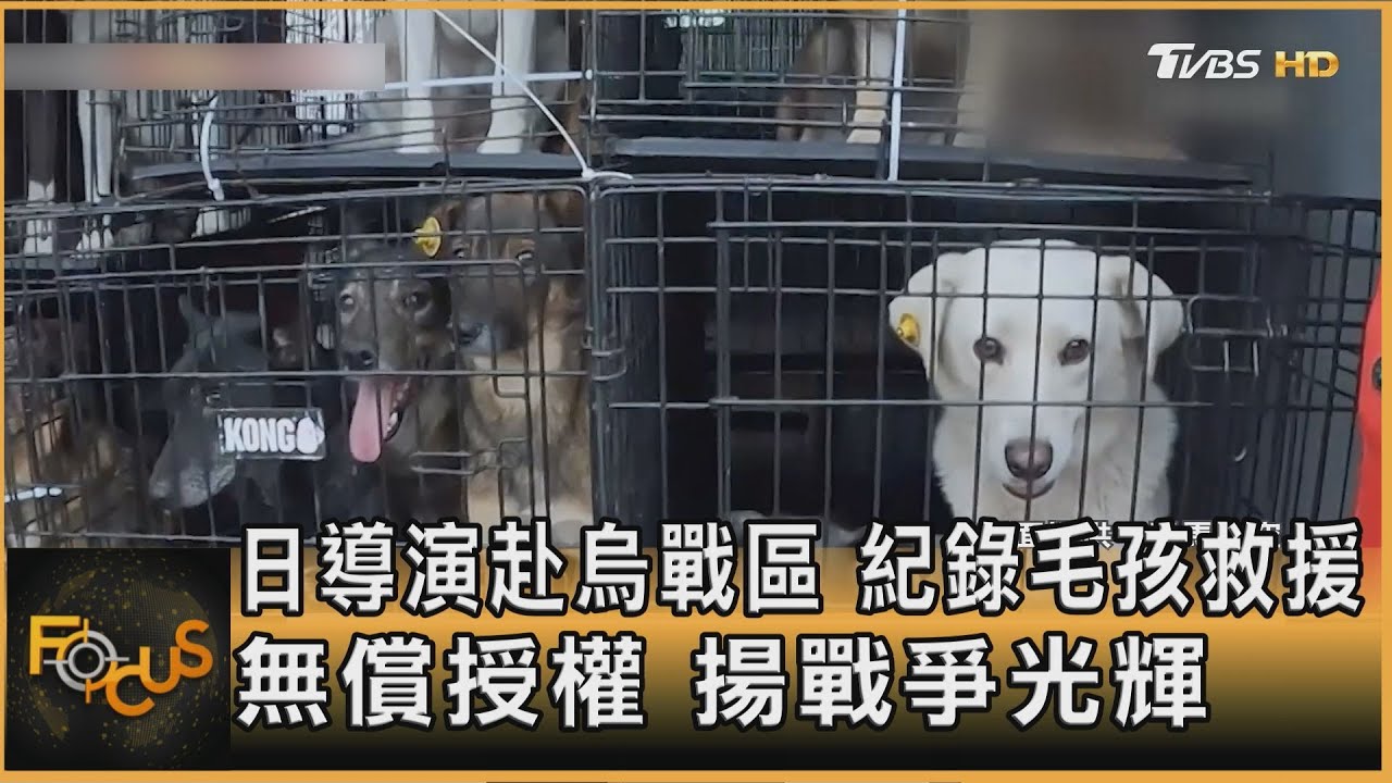 日導演赴烏戰區　紀錄毛孩救援　無償授權　揚戰爭光輝