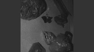 Uppers and Downers Music Video