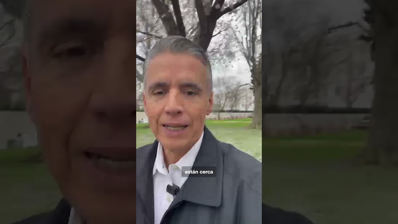 Los cerezos en flor anuncian la llegada de la primavera en Washington