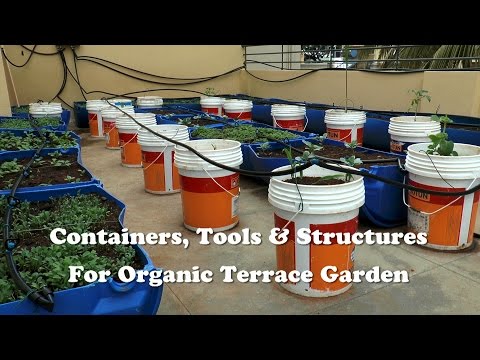 What Cuba can teach America about organic farming