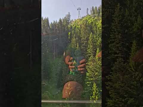 21.06.2026 Ahornbahn Bergfahrt #zillertal