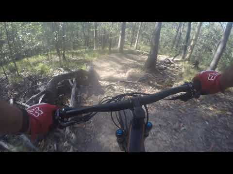 B&B's @ Nerang MTB Park