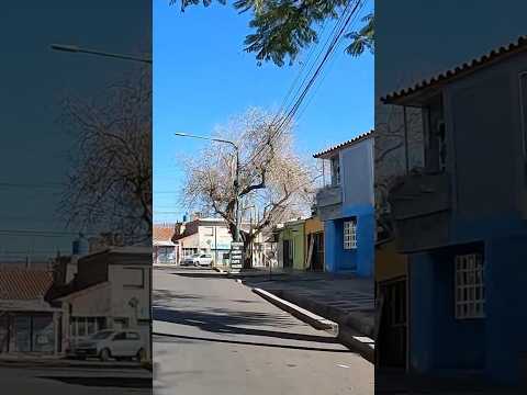 Calle Derqui #godoycruz #mendoza #argentina #shorts