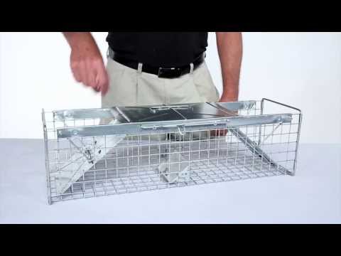 How to Set: Havahart® Medium 2-Door Trap Model #1030 for Mink, Large Squirrels & Rabbits