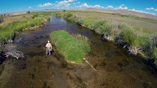 HATCH - BIG SKY PMDs - Montana Fly Fishing by Todd Moen