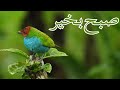 Subha Bakhair Dua Whatsapp Status Islamic Status