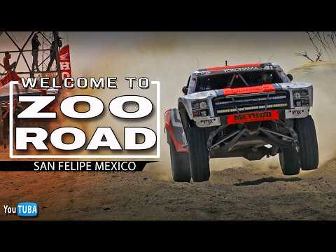 Zoo Road Trophy Trucks 100+ MPH thumbnail