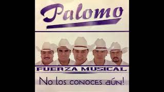 Grupo Palomo - No Me Conoces Aún.