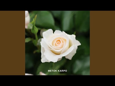 Metok Karpo (feat. Kunga)
