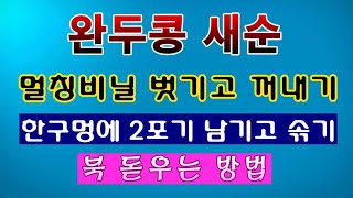 [텃밭농부. 1,378]  완두콩 비닐 벗기고 북돋우는 방법 #완두콩재배