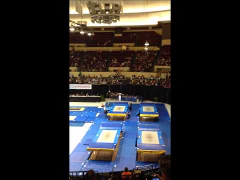 Senior Elites (Finals)