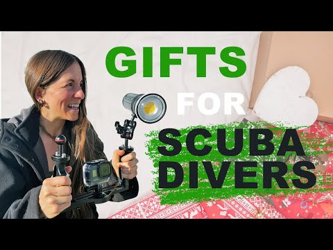 Nerdy divers love this stuff - gifts for scuba divers 2022