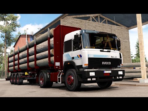 ETS2 1.38 EuRoadNet Iveco TurboStar Forst - Erfurt
