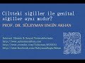 Prof. Dr. Süleyman Engin Akhan Prof. Dr. Süleyman Engin Akhan
