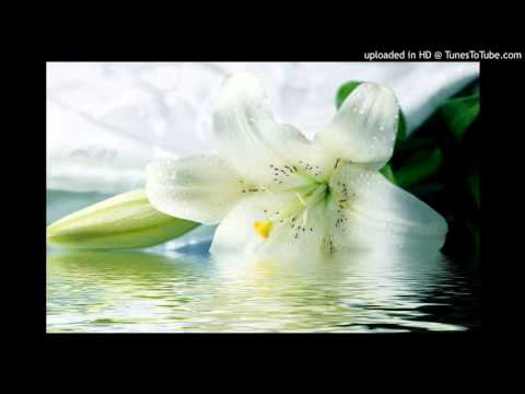 Today's Tango Is... Todo - Pedro Laurenz 09-12-1943