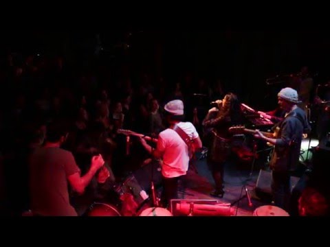 Camarão Orkestra on stage !