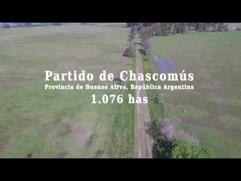 Alzaga Unzué - Chascomús - Buenos Aires - Argentina - 1.063 Has.