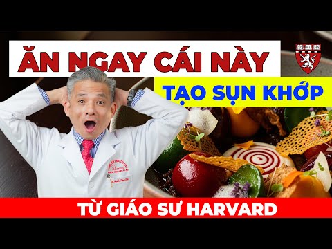 Giáo Sư Đại Học Y Harvard Tiết Lộ Cách Tái Tạo Sụn Khớp Nhanh Không Tưởng