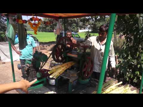 świeży sok z pędów bambusa