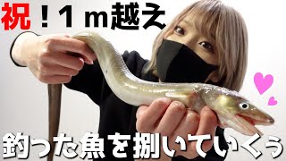 《#16》やばい！？巨大穴子を生で食べてみた【 釣りガール 】