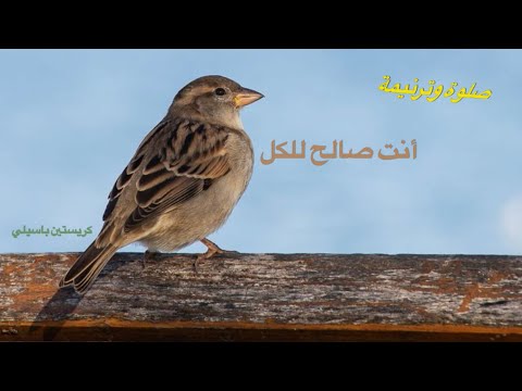 Anta saleh lelkol انت صالح للكل